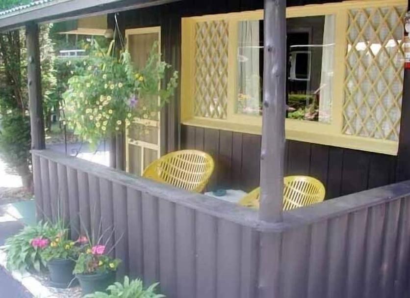 Patio Zdjęcie