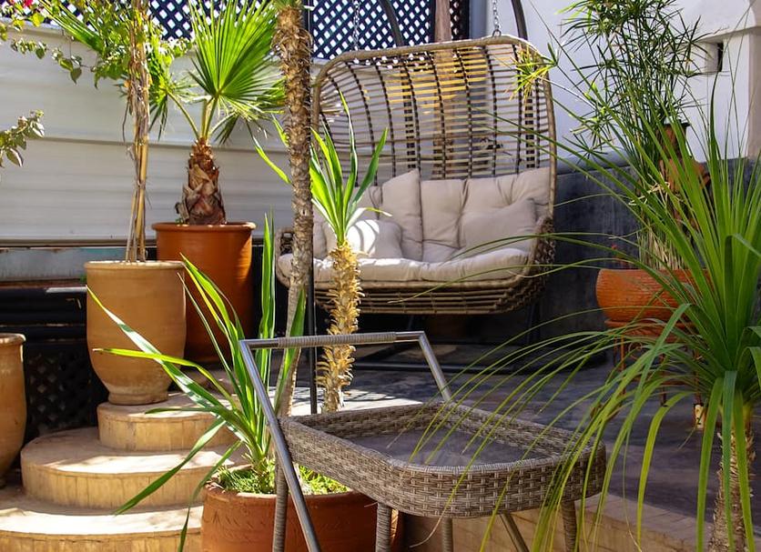Patio Zdjęcie