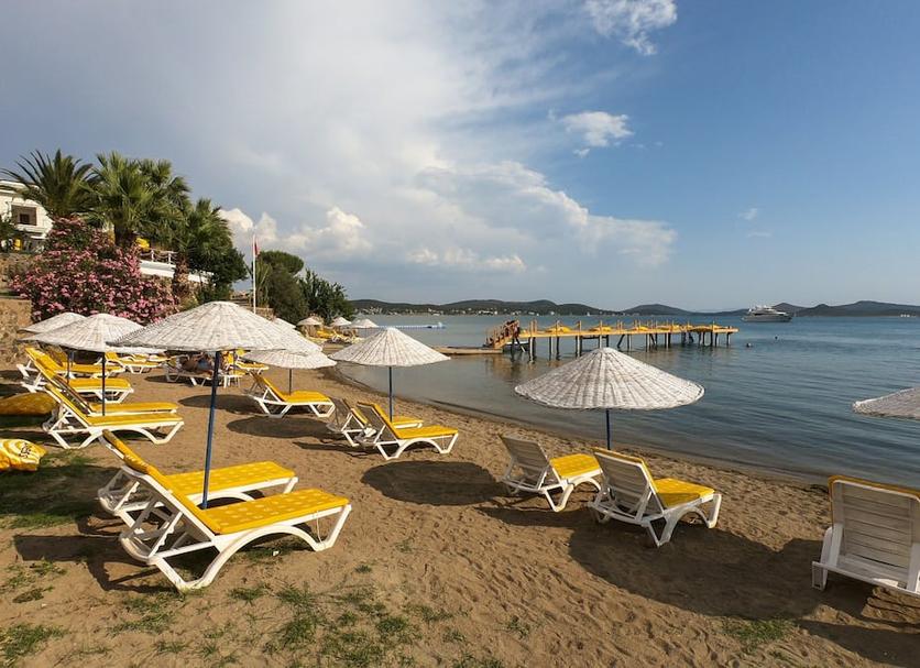 Plaża Zdjęcie