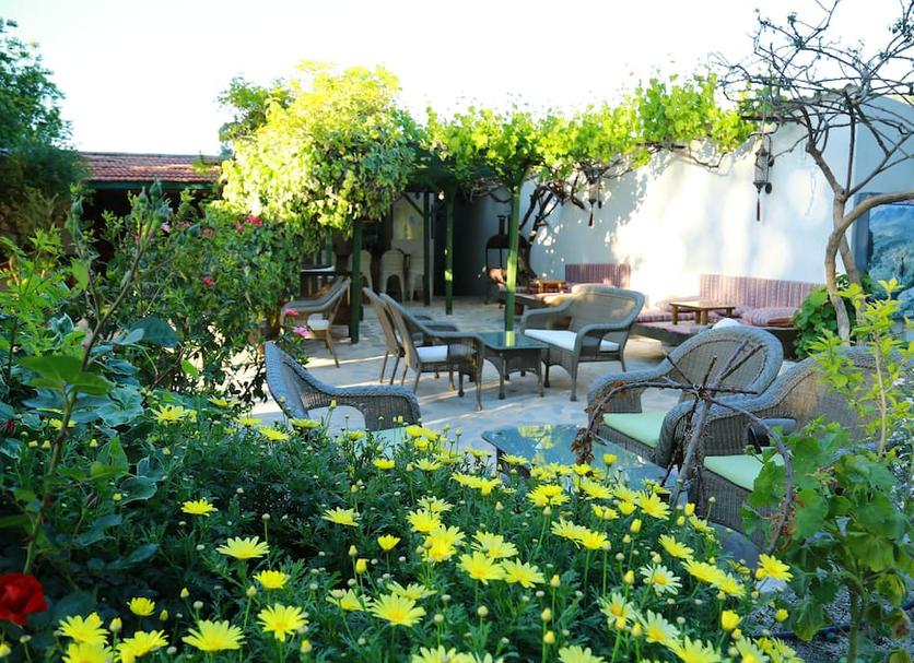 Patio Zdjęcie