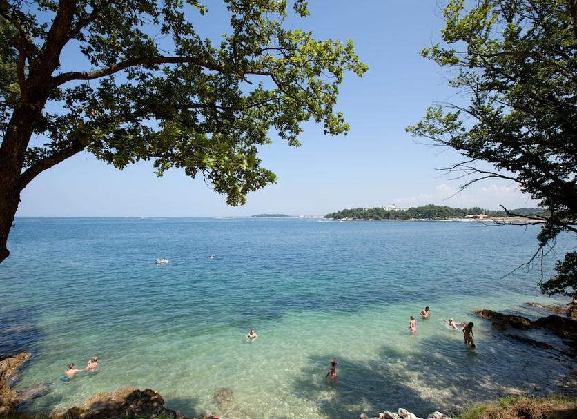Plaża Zdjęcie