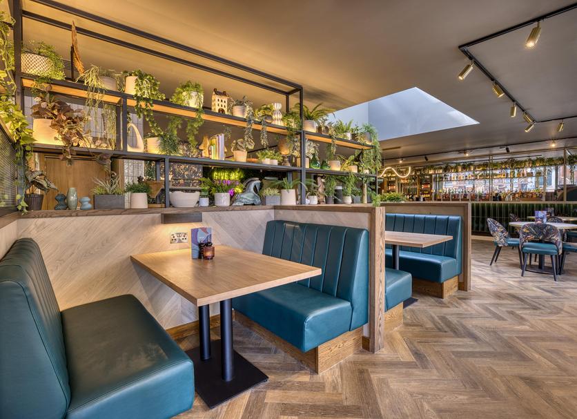 Bar Zdjęcie