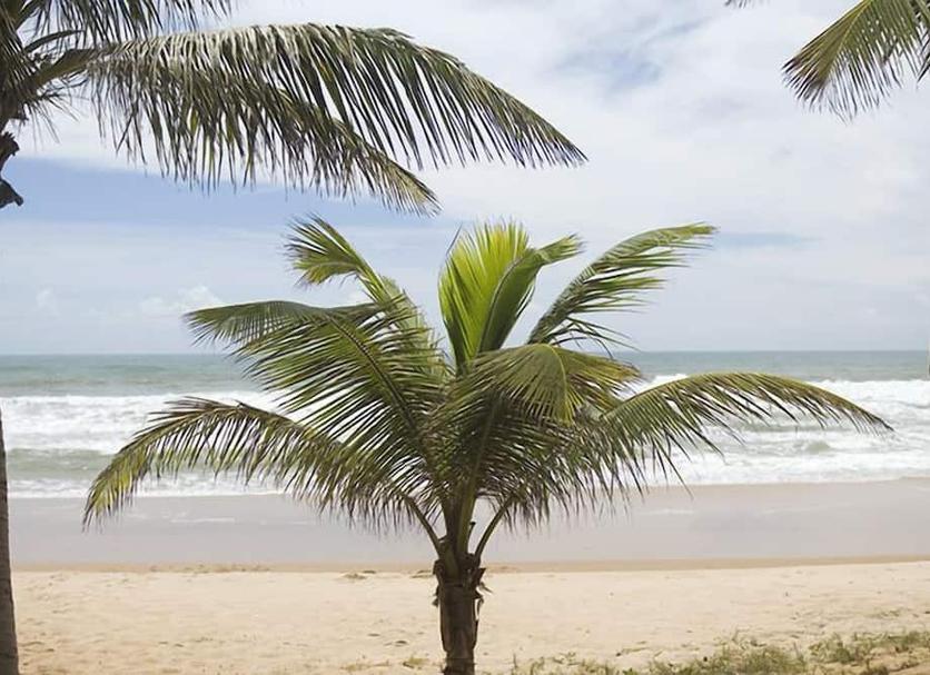 Plaża Zdjęcie