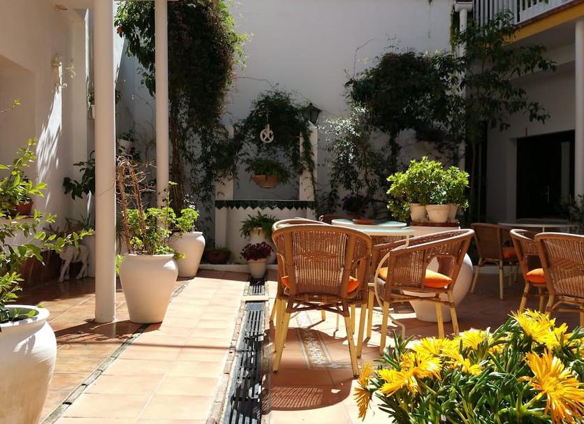 Patio Zdjęcie