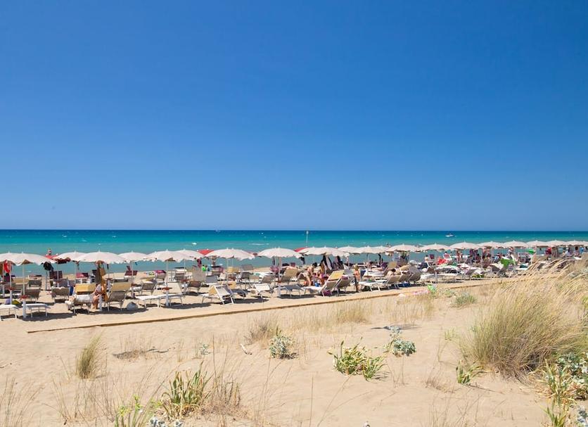 Plaża Zdjęcie