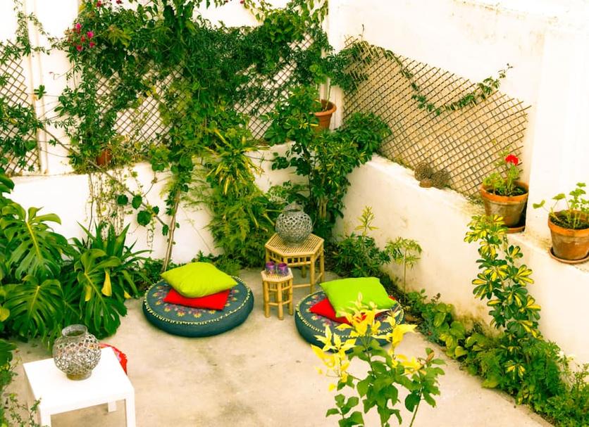 Patio Zdjęcie