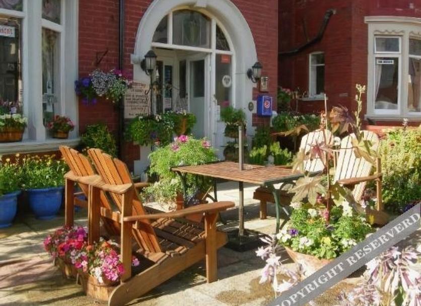Patio Zdjęcie