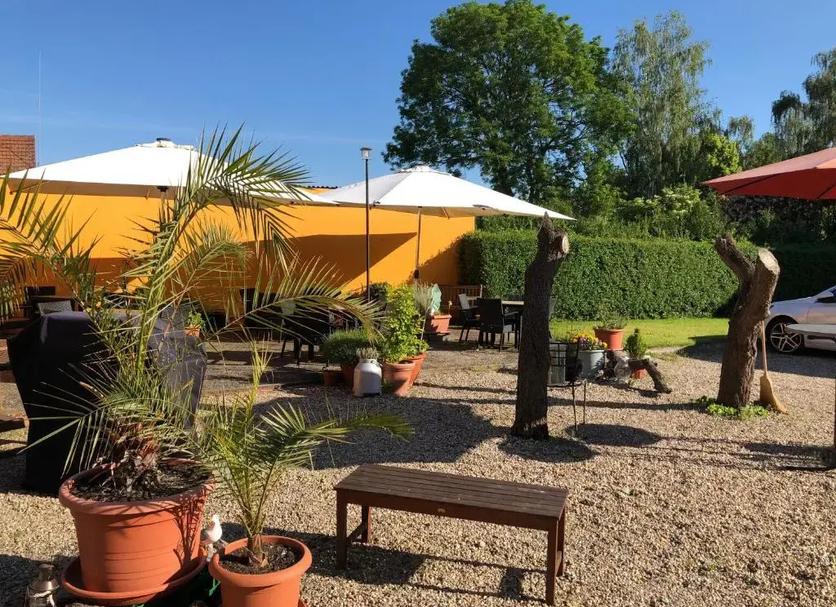 Patio Zdjęcie