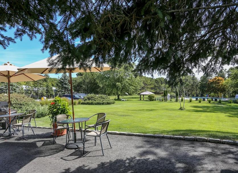 Patio Zdjęcie