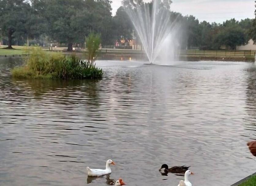 Widok na zewnątrz Zdjęcie