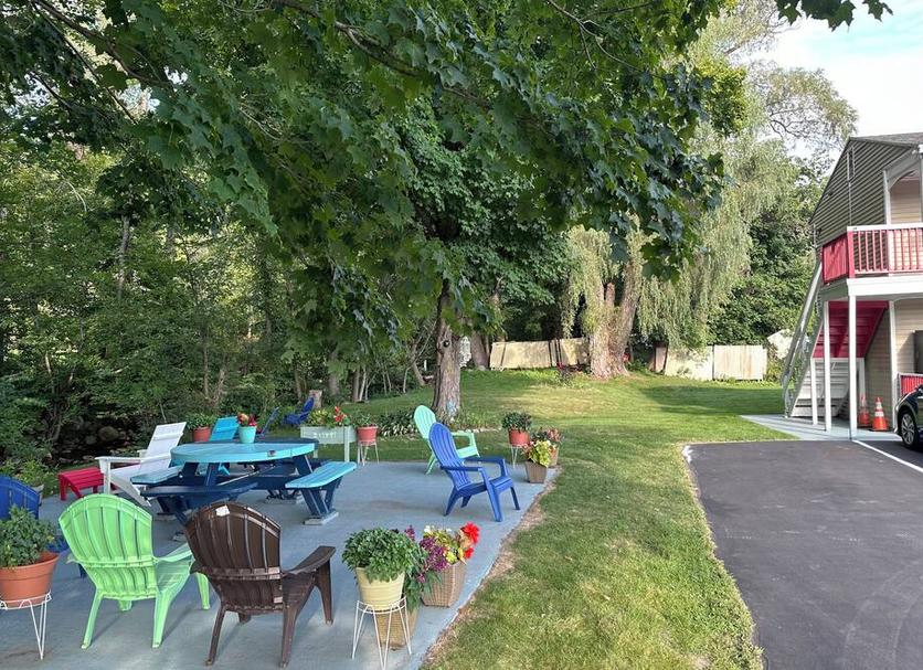 Patio Zdjęcie