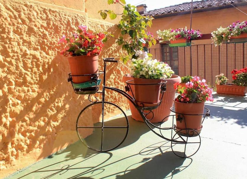 Patio Zdjęcie