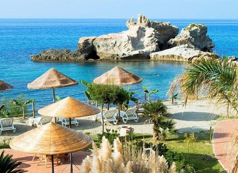 Plaża Zdjęcie