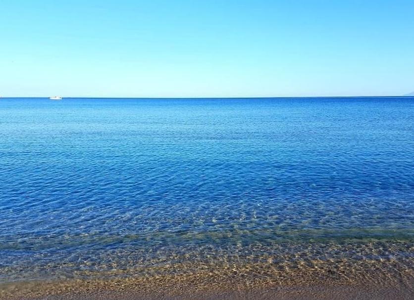 Plaża Zdjęcie