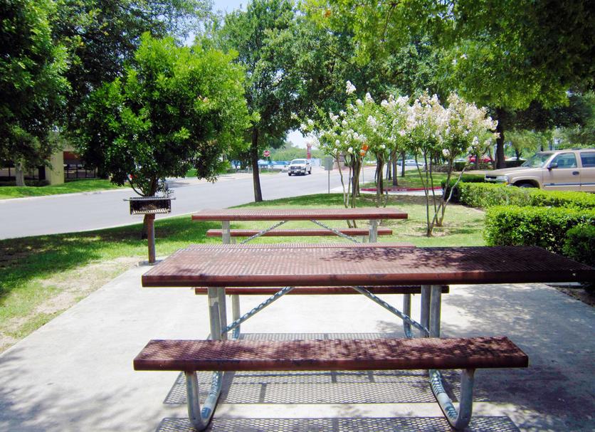Patio Zdjęcie