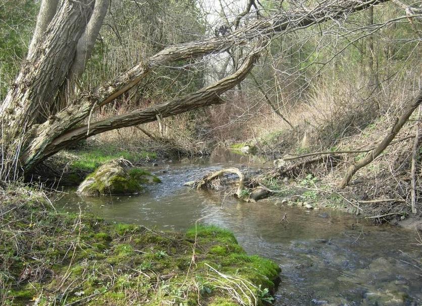 Widok na zewnątrz Zdjęcie