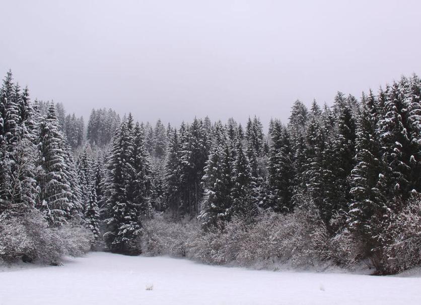 Widok na zewnątrz Zdjęcie