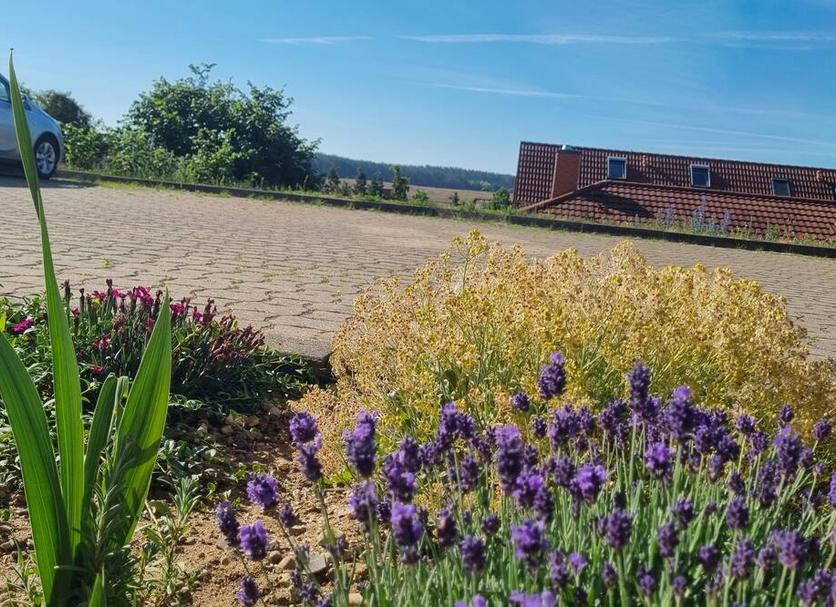 Widok na zewnątrz Zdjęcie