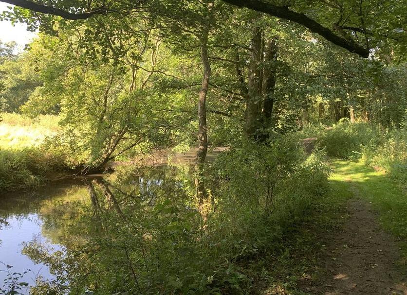Widok na zewnątrz Zdjęcie