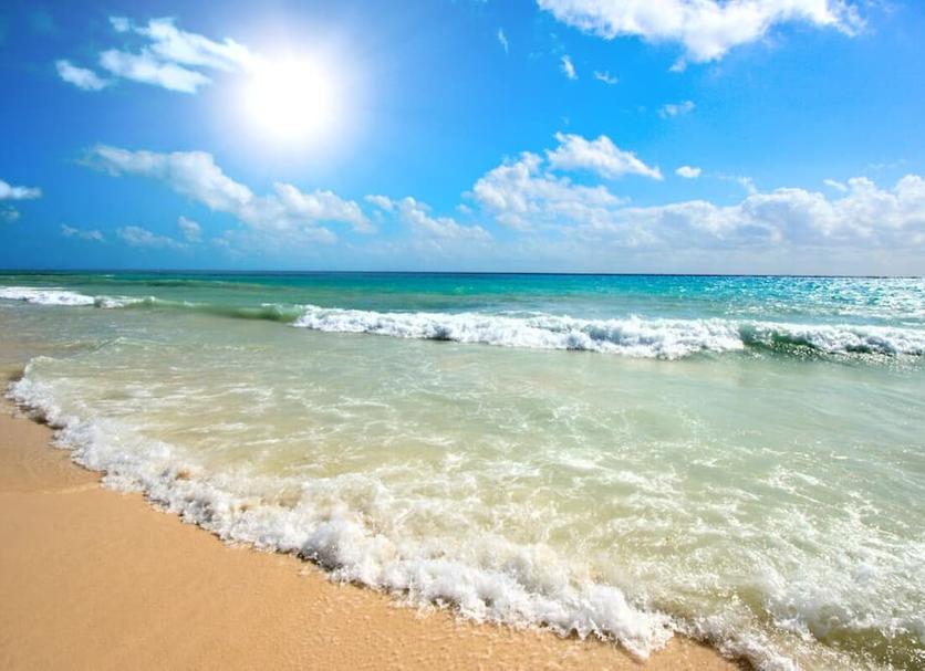 Plaża Zdjęcie