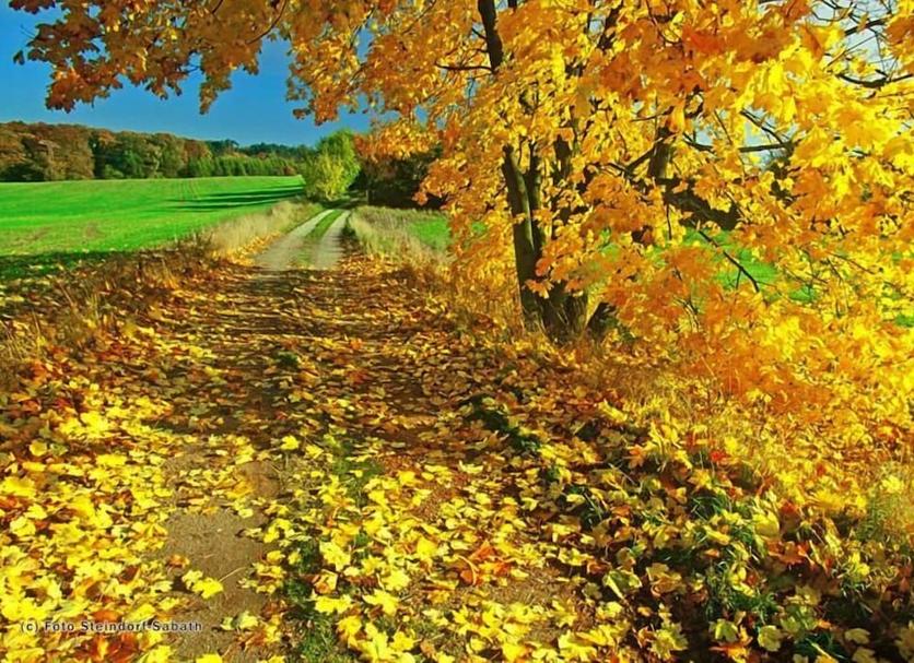 Widok na zewnątrz Zdjęcie