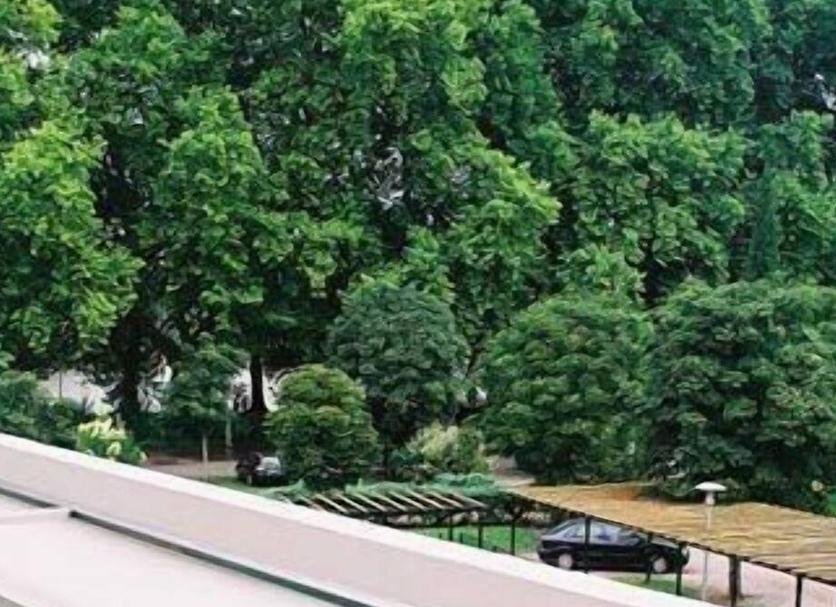 Widok na zewnątrz Zdjęcie