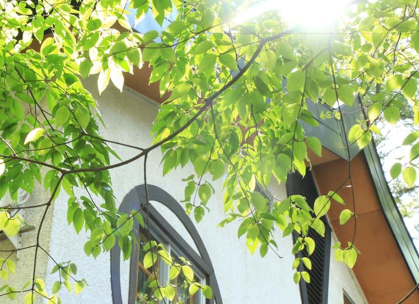 Widok na zewnątrz Zdjęcie