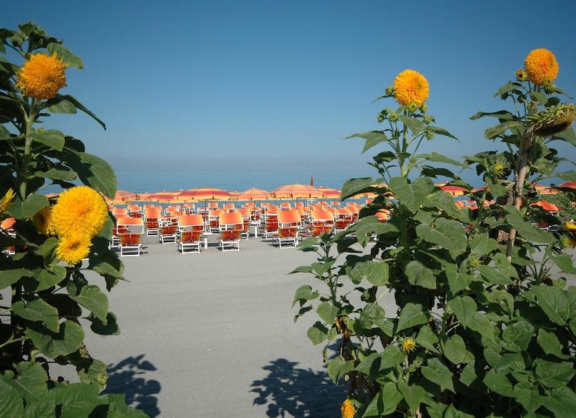 Plaża Zdjęcie