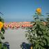 Plaża