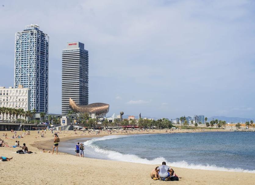 Plaża Zdjęcie