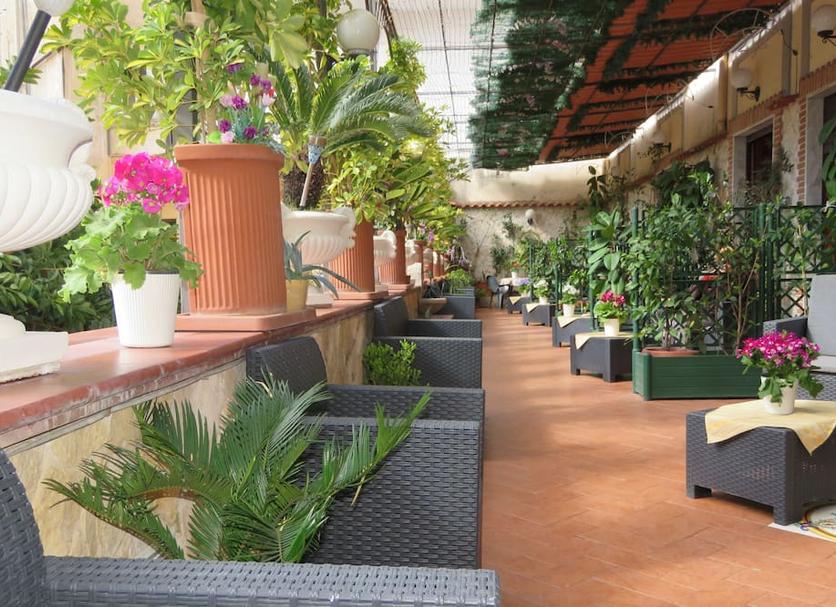 Patio Zdjęcie