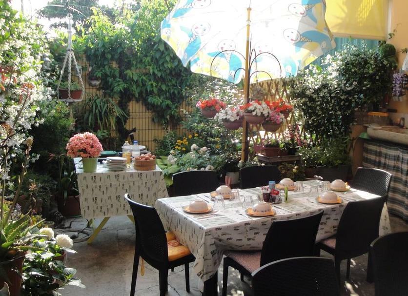 Patio Zdjęcie