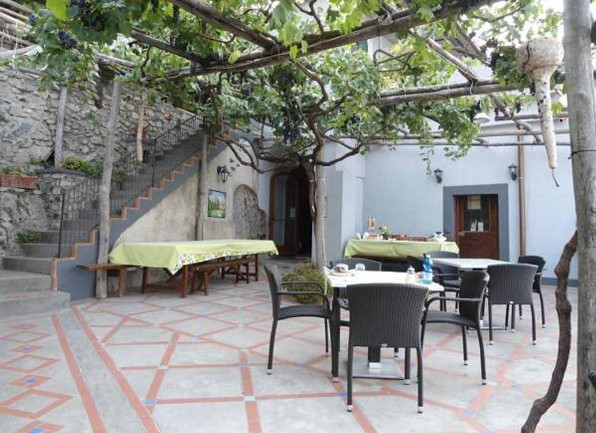 Patio Zdjęcie