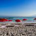Plaża