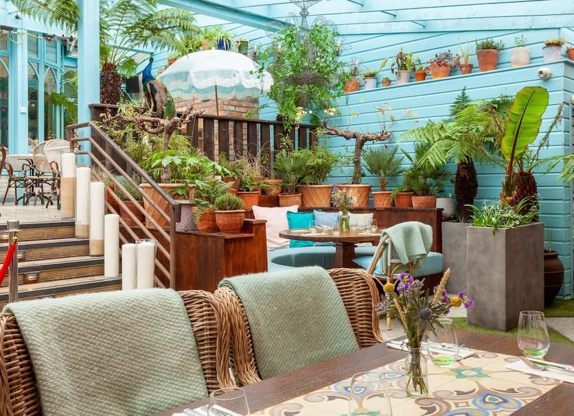 Patio Zdjęcie