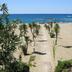 Plaża