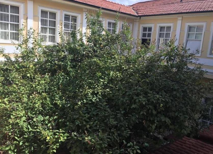 Widok na zewnątrz Zdjęcie