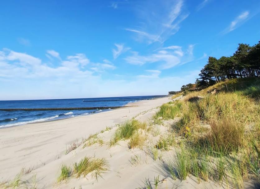 Plaża Zdjęcie