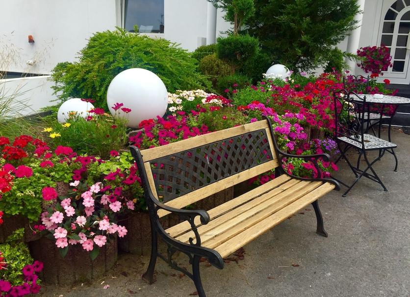 Patio Zdjęcie