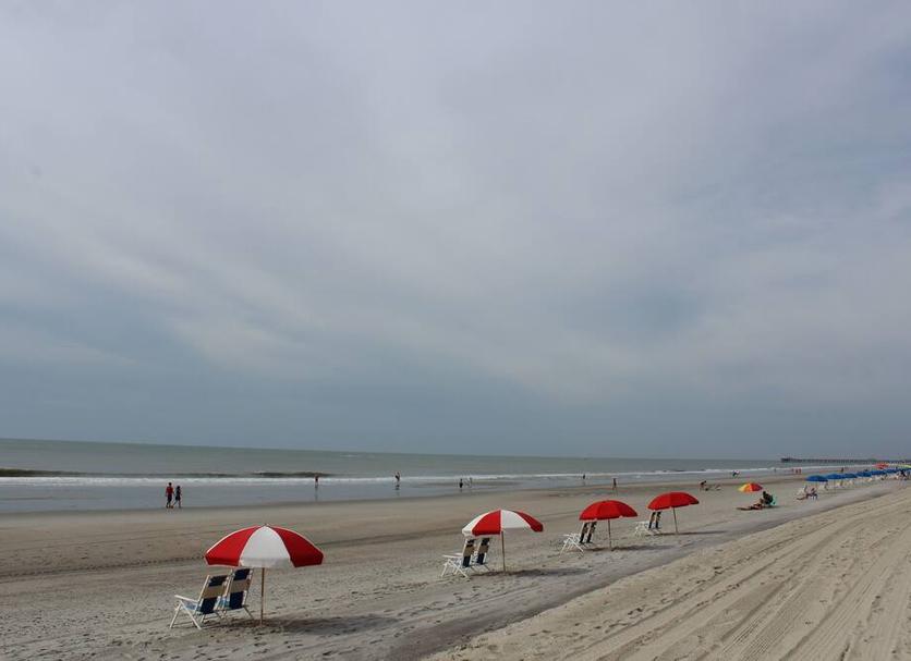 Plaża Zdjęcie