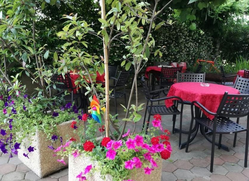 Patio Zdjęcie