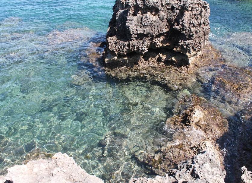 Plaża Zdjęcie