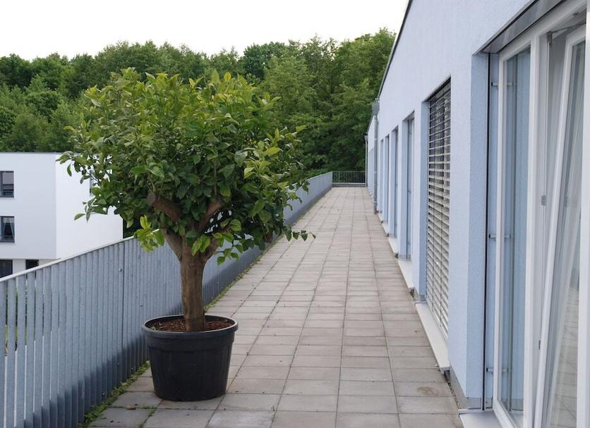 Widok na zewnątrz Zdjęcie