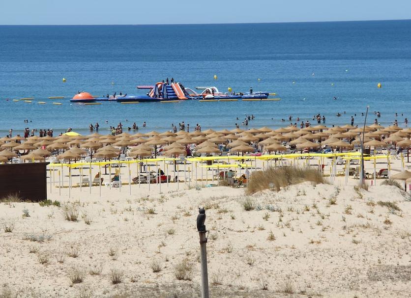 Plaża Zdjęcie
