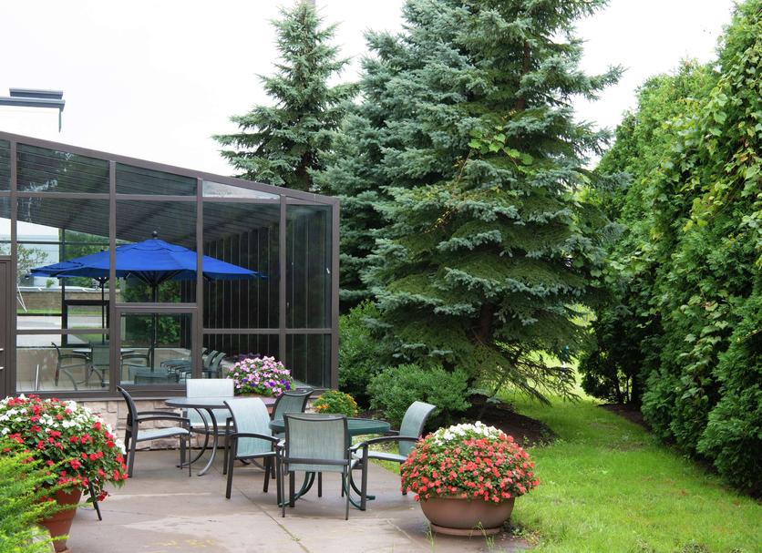Patio Zdjęcie
