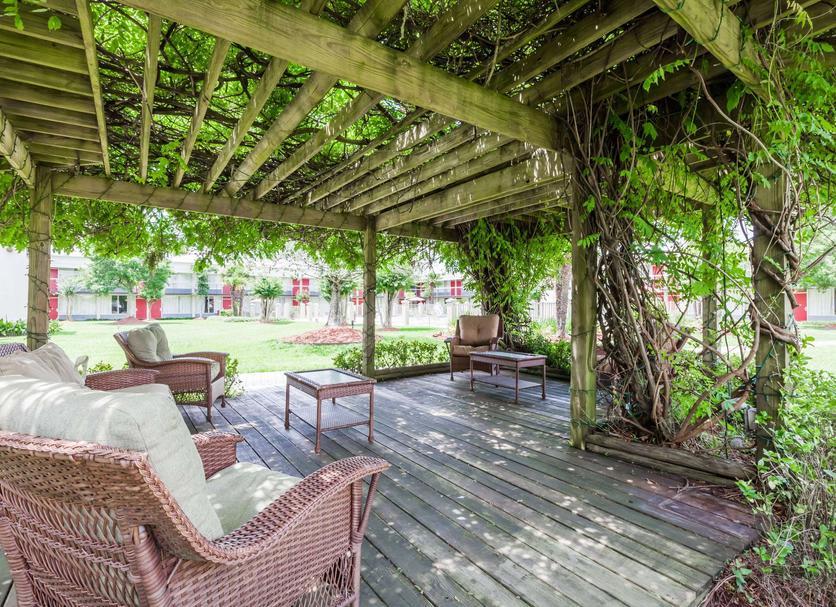 Patio Zdjęcie