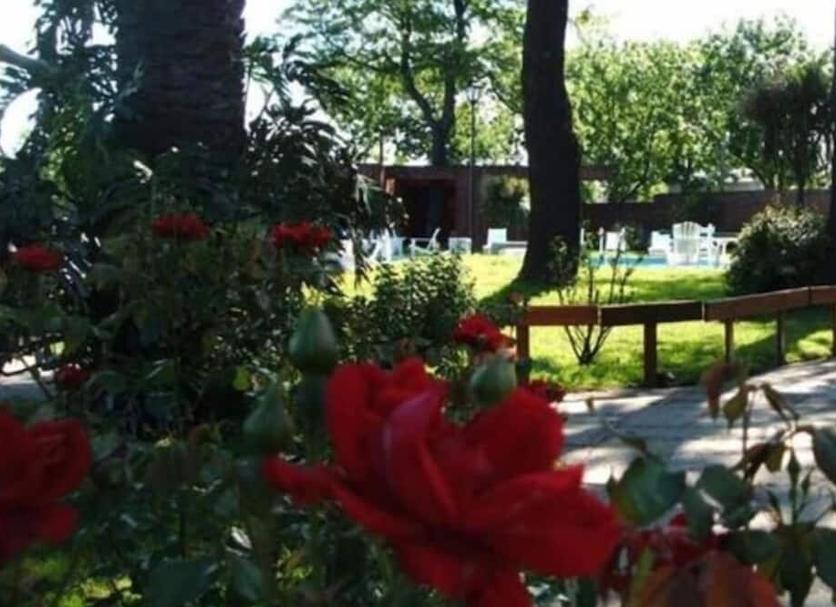 Widok na zewnątrz Zdjęcie
