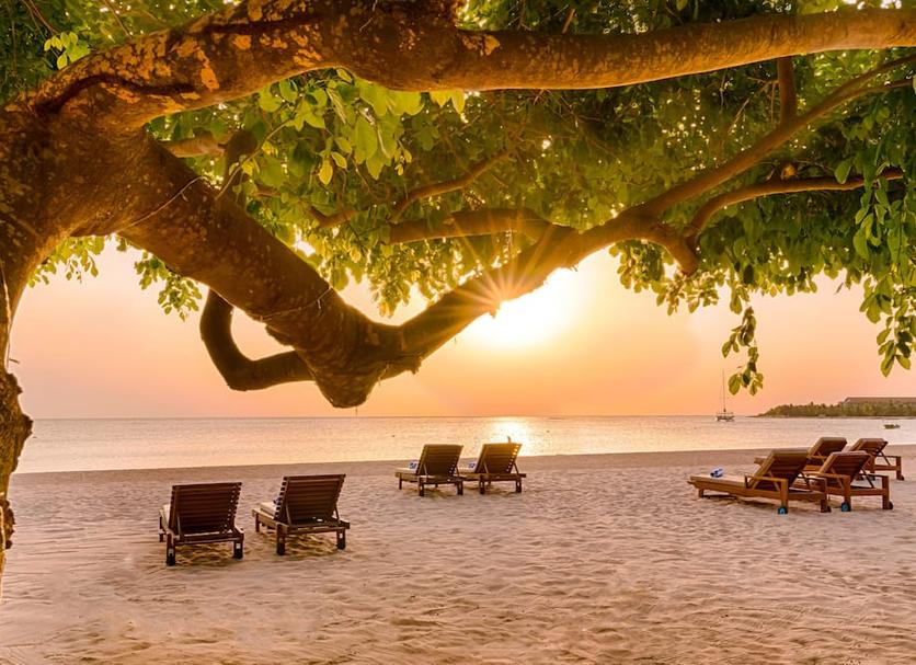 Plaża Zdjęcie