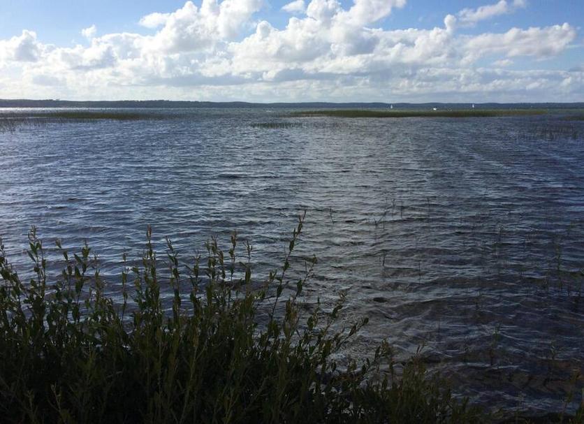 Plaża Zdjęcie