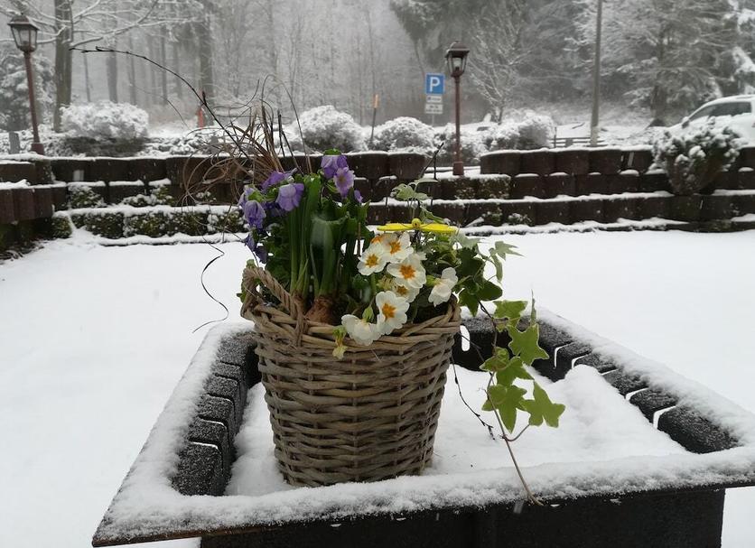 Widok na zewnątrz Zdjęcie